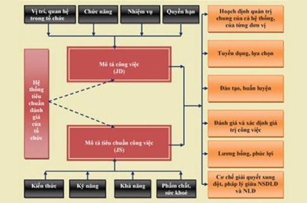 Quản trị bằng JD và JS